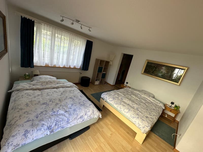 1 ZI-WOHNUNG IN RICKENBACH SULZ (ZH), MÖBLIERT (3)
