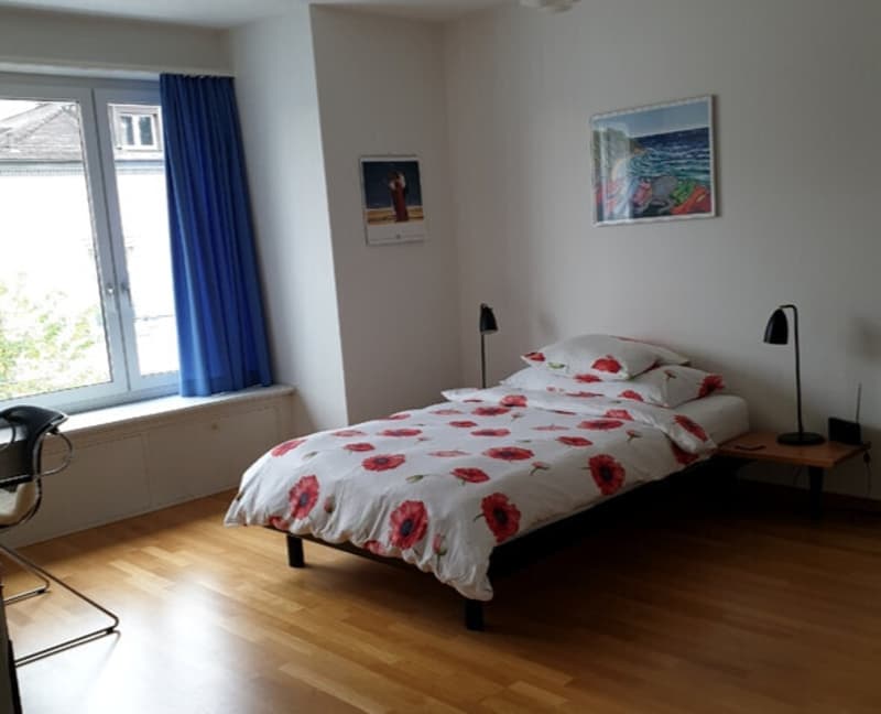 2 ZI-WOHNUNG IN ZÜRICH - KREIS 6 UNTERSTRASS, MÖBLIERT, TEMPORÄR (6)