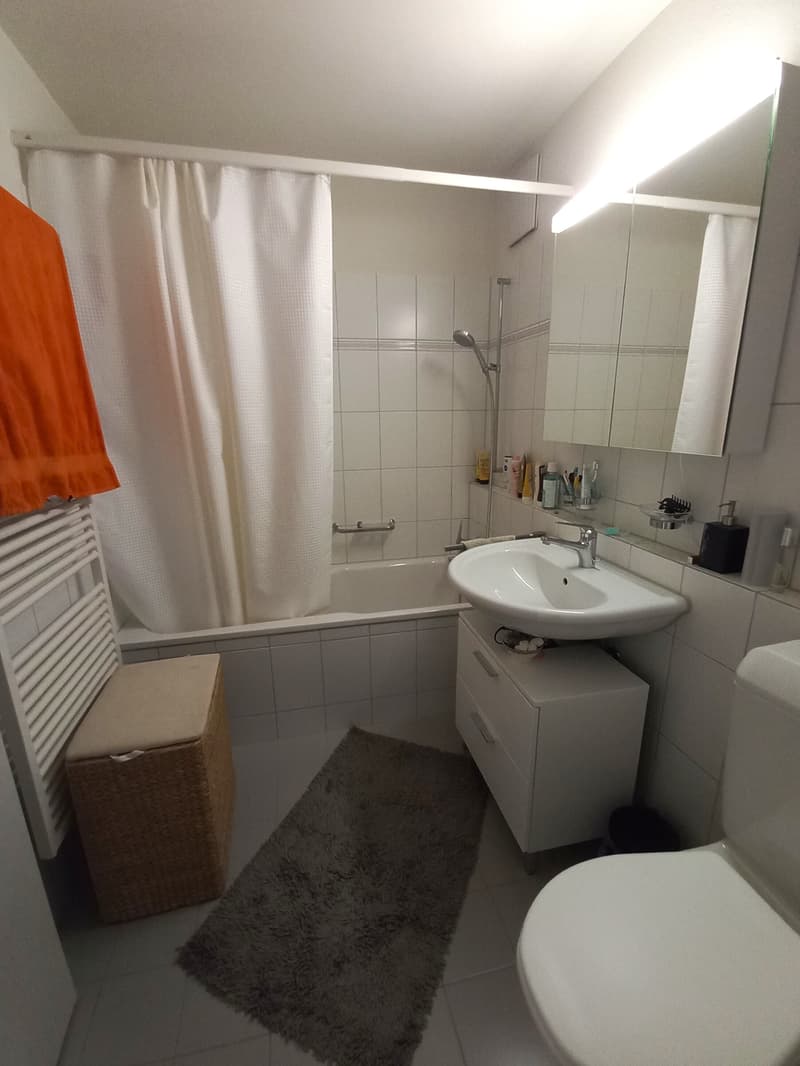 2½ ZI-WOHNUNG IN CHAM (ZG), MÖBLIERT, TEMPORÄR (8)