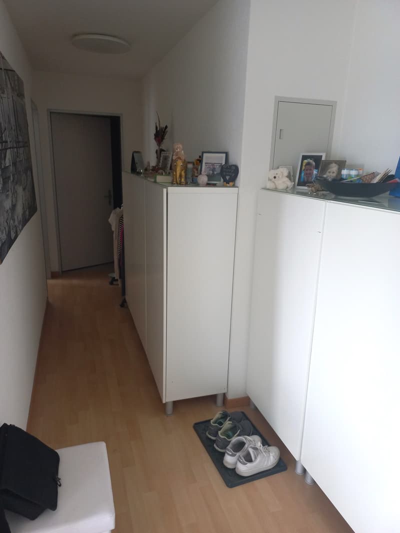 2½ ZI-WOHNUNG IN CHAM (ZG), MÖBLIERT, TEMPORÄR (9)