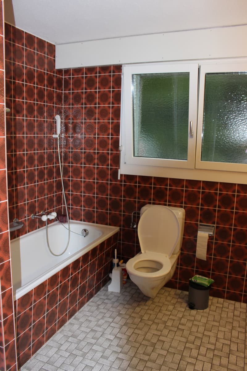 2½ ZI-WOHNUNG IN GERZENSEE (BE), MÖBLIERT, TEMPORÄR (3)