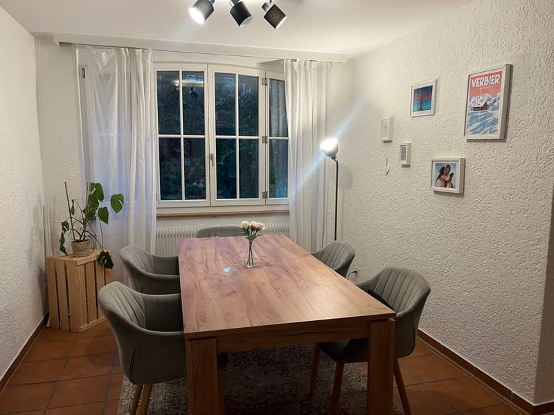 3½ ZI-WOHNUNG IN BERN - AUSSERHOLLIGEN, MÖBLIERT, TEMPORÄR (3)