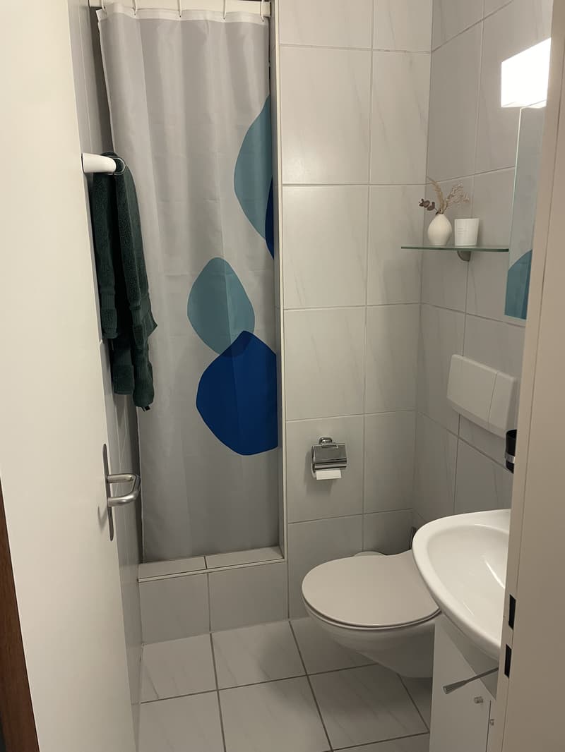 3½ ZI-WOHNUNG IN LUZERN, MÖBLIERT, TEMPORÄR (7)