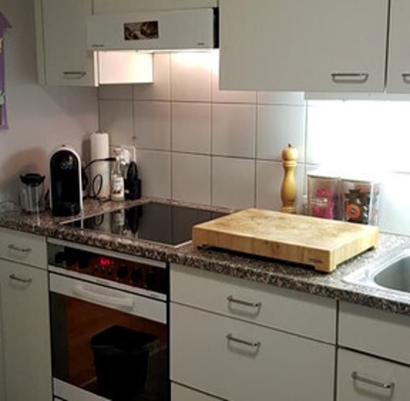 2 ZI-WOHNUNG IN LUZERN, MÖBLIERT, TEMPORÄR (2)