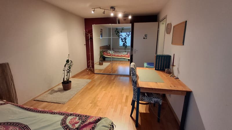 2 ZI-WOHNUNG IN LUZERN, MÖBLIERT, TEMPORÄR (4)