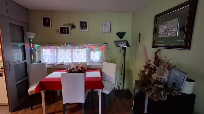 2 ZI-WOHNUNG IN LUZERN, MÖBLIERT, TEMPORÄR (3)