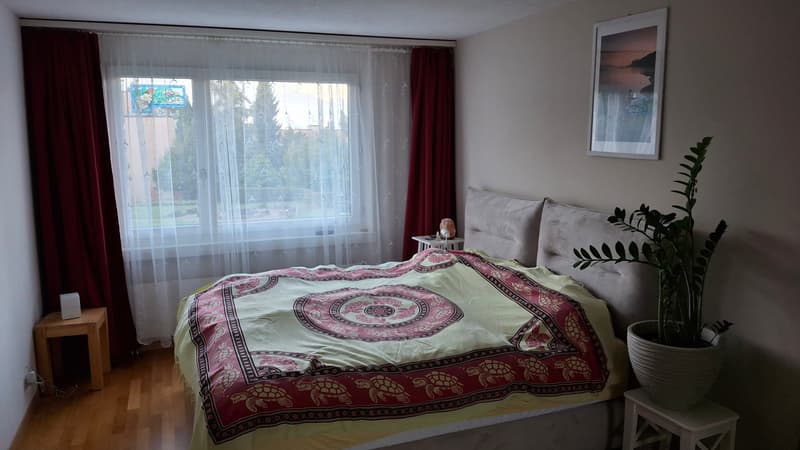 2 ZI-WOHNUNG IN LUZERN, MÖBLIERT, TEMPORÄR (5)