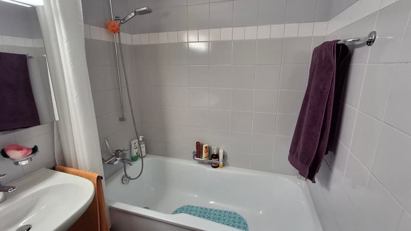 2 ZI-WOHNUNG IN LUZERN, MÖBLIERT, TEMPORÄR (6)