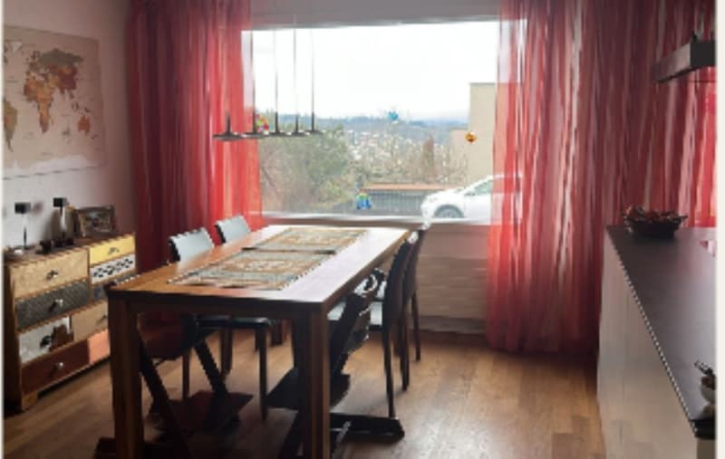 6½ ZIMMER-HAUS IN SPIEGEL B. BERN (BE), MÖBLIERT, TEMPORÄR (7)