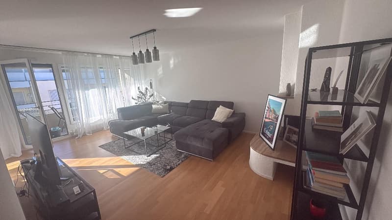 2 ZI-WOHNUNG IN BASEL - GUNDELDINGEN, MÖBLIERT, TEMPORÄR (2)