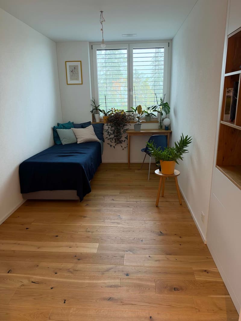 4½ ZIMMER-HAUS IN SCHENKON (LU), MÖBLIERT, TEMPORÄR (6)