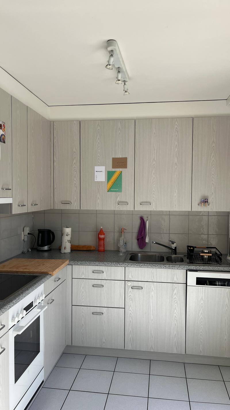 3 ZI-WOHNUNG IN LUZERN, MÖBLIERT, TEMPORÄR (2)