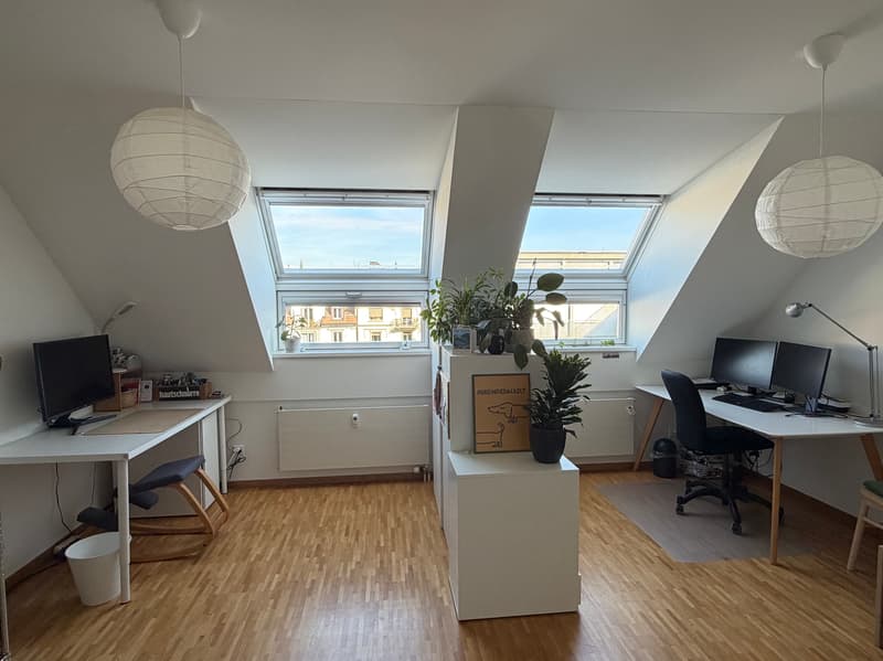 3 ZI-WOHNUNG IN LUZERN, MÖBLIERT, TEMPORÄR (4)
