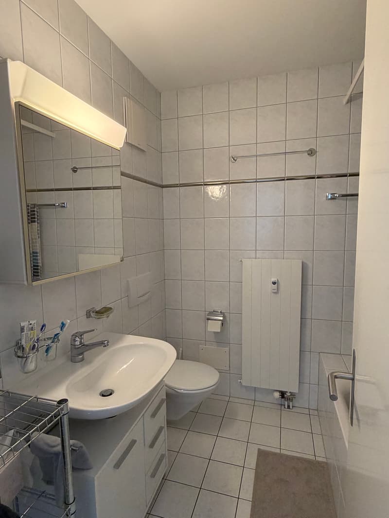 3 ZI-WOHNUNG IN LUZERN, MÖBLIERT, TEMPORÄR (5)