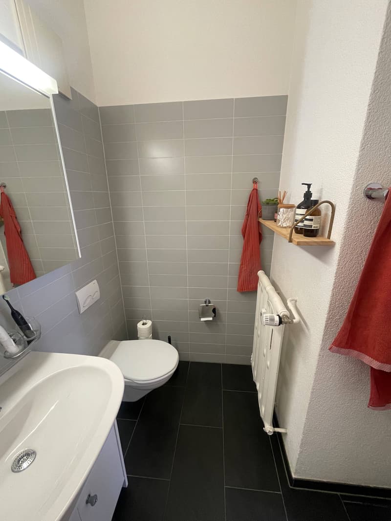 3½ ZI-WOHNUNG IN BERN - SULGENAU, MÖBLIERT, TEMPORÄR (8)