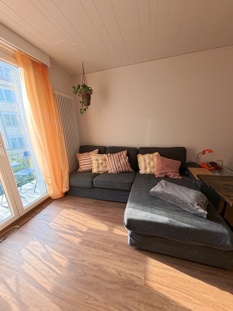 3½ ZI-WOHNUNG IN LUZERN, MÖBLIERT, TEMPORÄR (2)