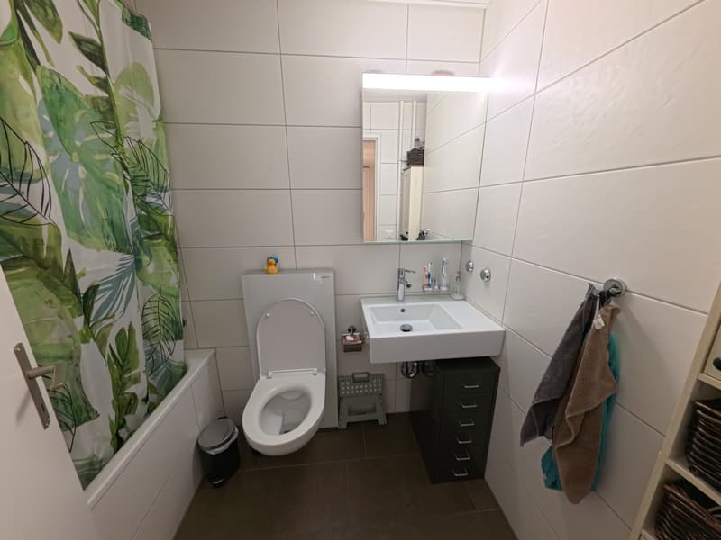 3½ ZI-WOHNUNG IN LUZERN, MÖBLIERT, TEMPORÄR (9)