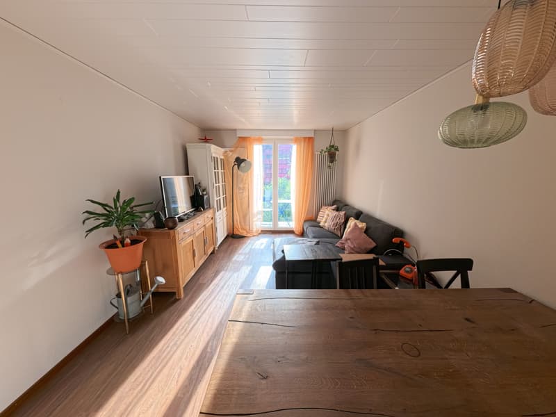 3½ ZI-WOHNUNG IN LUZERN, MÖBLIERT, TEMPORÄR (1)