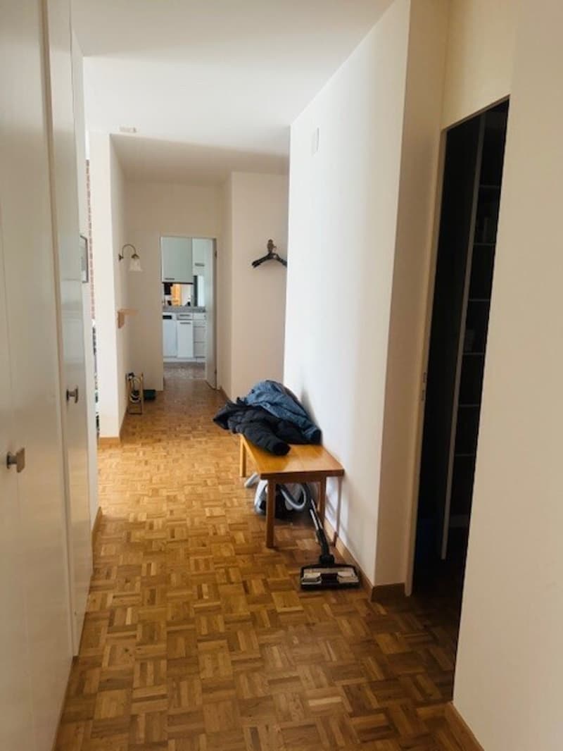 4½ ZI-WOHNUNG IN ZÜRICH, MÖBLIERT, TEMPORÄR (9)