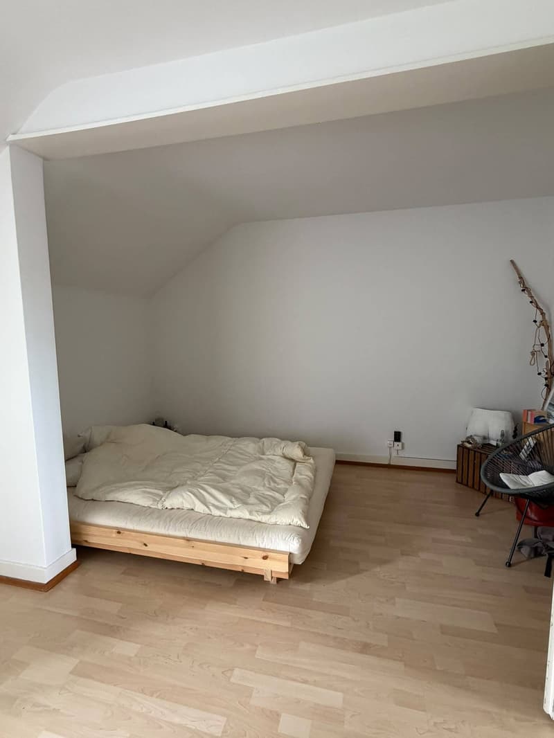 1½ ZI-WOHNUNG IN BERN - FISCHERMÄTTELI, MÖBLIERT, TEMPORÄR (6)
