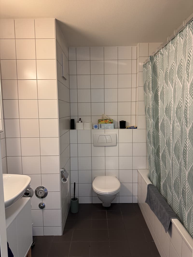 2½ ZI-WOHNUNG IN ZÜRICH - KREIS 9, MÖBLIERT, TEMPORÄR (5)