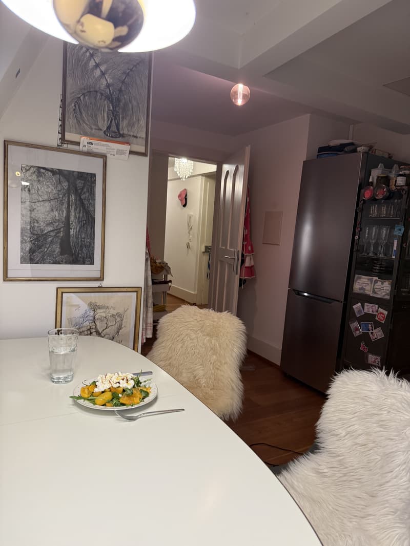 2½ ZI-WOHNUNG IN RHEINFELDEN (AG), MÖBLIERT, TEMPORÄR (2)