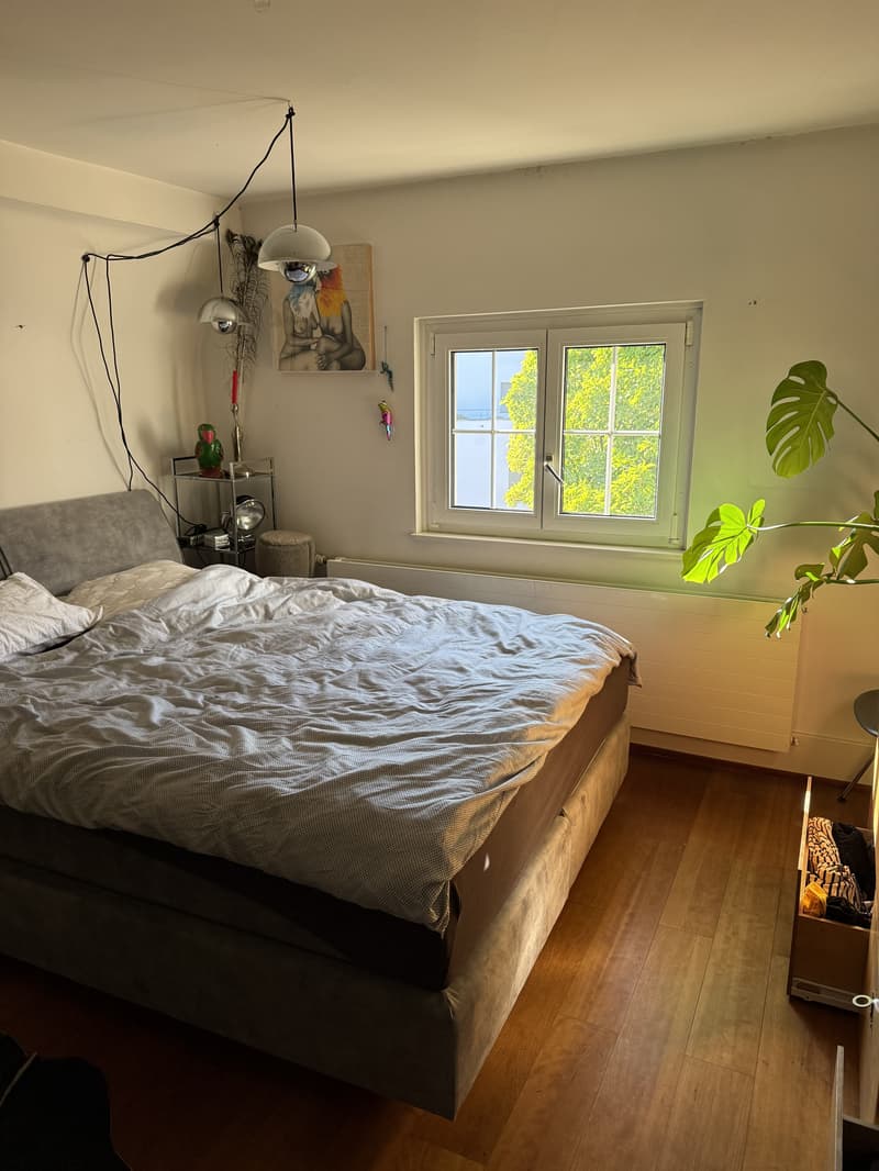 2½ ZI-WOHNUNG IN RHEINFELDEN (AG), MÖBLIERT, TEMPORÄR (3)