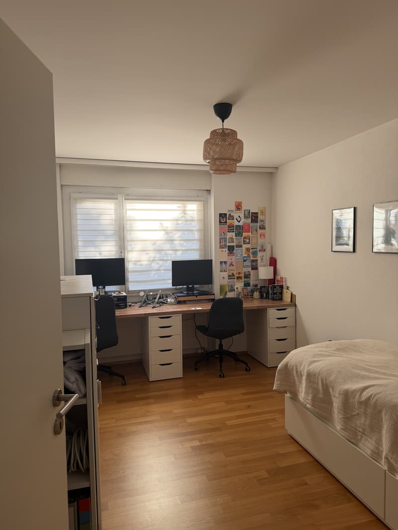3½ ZI-WOHNUNG IN ZÜRICH - KREIS 10 HÖNGG, MÖBLIERT, TEMPORÄR (6)