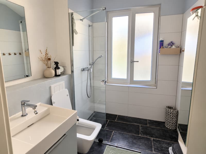 5 ZI-WOHNUNG IN WINTERTHUR - VELTHEIM, MÖBLIERT, TEMPORÄR (7)