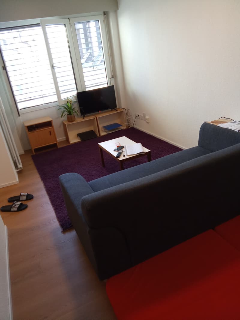 1½ ZI-WOHNUNG IN LUZERN, MÖBLIERT, TEMPORÄR (4)
