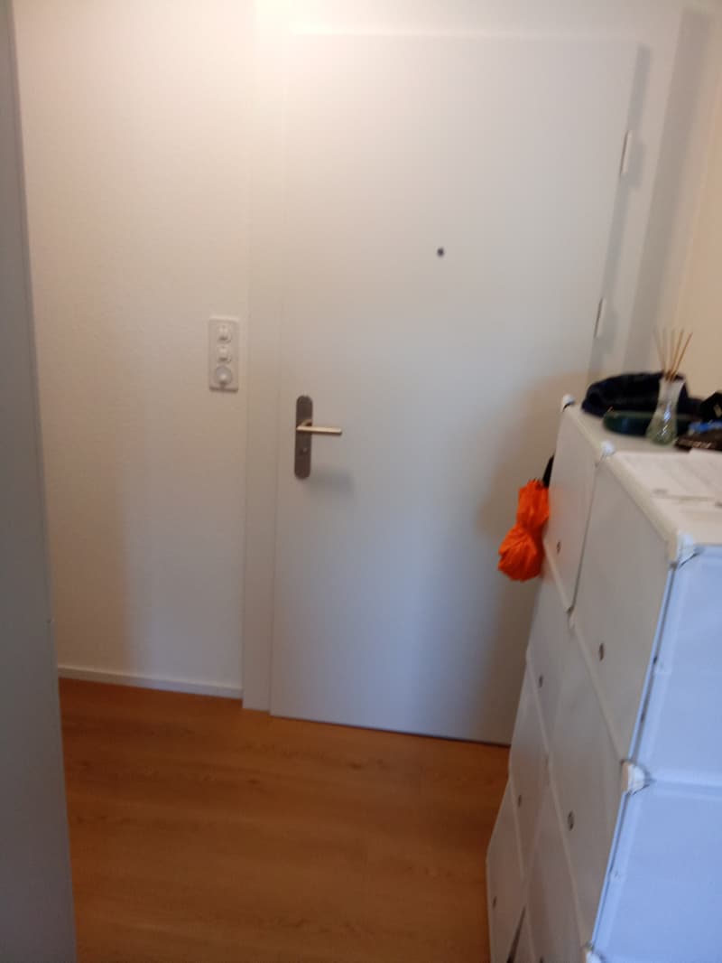 1½ ZI-WOHNUNG IN LUZERN, MÖBLIERT, TEMPORÄR (2)
