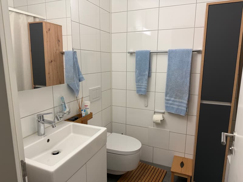 4½ ZI-WOHNUNG IN BURGDORF (BE), MÖBLIERT, TEMPORÄR (7)