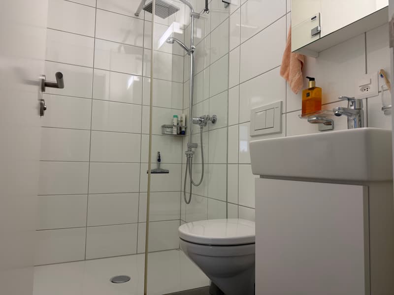 4½ ZI-WOHNUNG IN BURGDORF (BE), MÖBLIERT, TEMPORÄR (8)