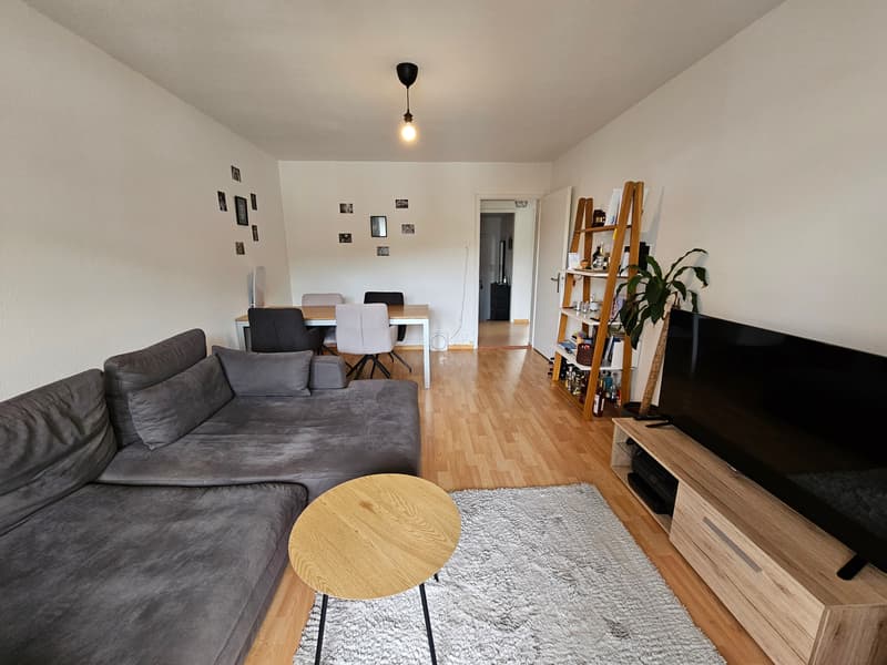 2½ ZI-WOHNUNG IN ZÜRICH - KREIS 3 TRIEMLI, MÖBLIERT, TEMPORÄR (1)