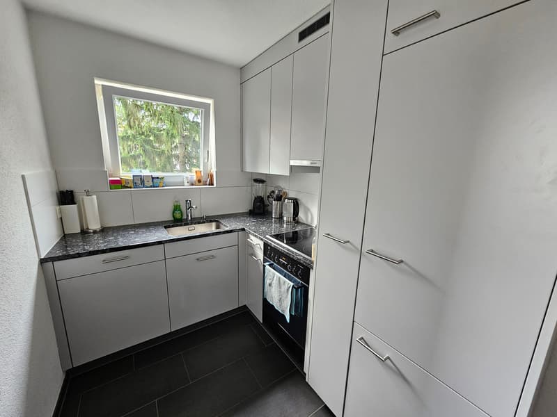 2½ ZI-WOHNUNG IN ZÜRICH - KREIS 3 TRIEMLI, MÖBLIERT, TEMPORÄR (3)