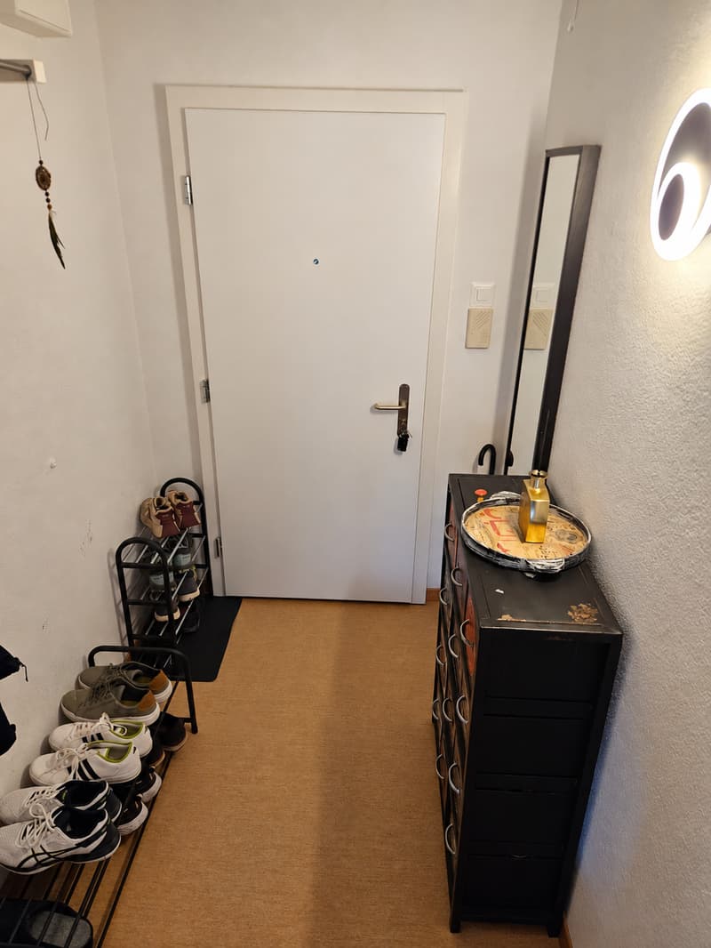 2½ ZI-WOHNUNG IN ZÜRICH - KREIS 3 TRIEMLI, MÖBLIERT, TEMPORÄR (5)