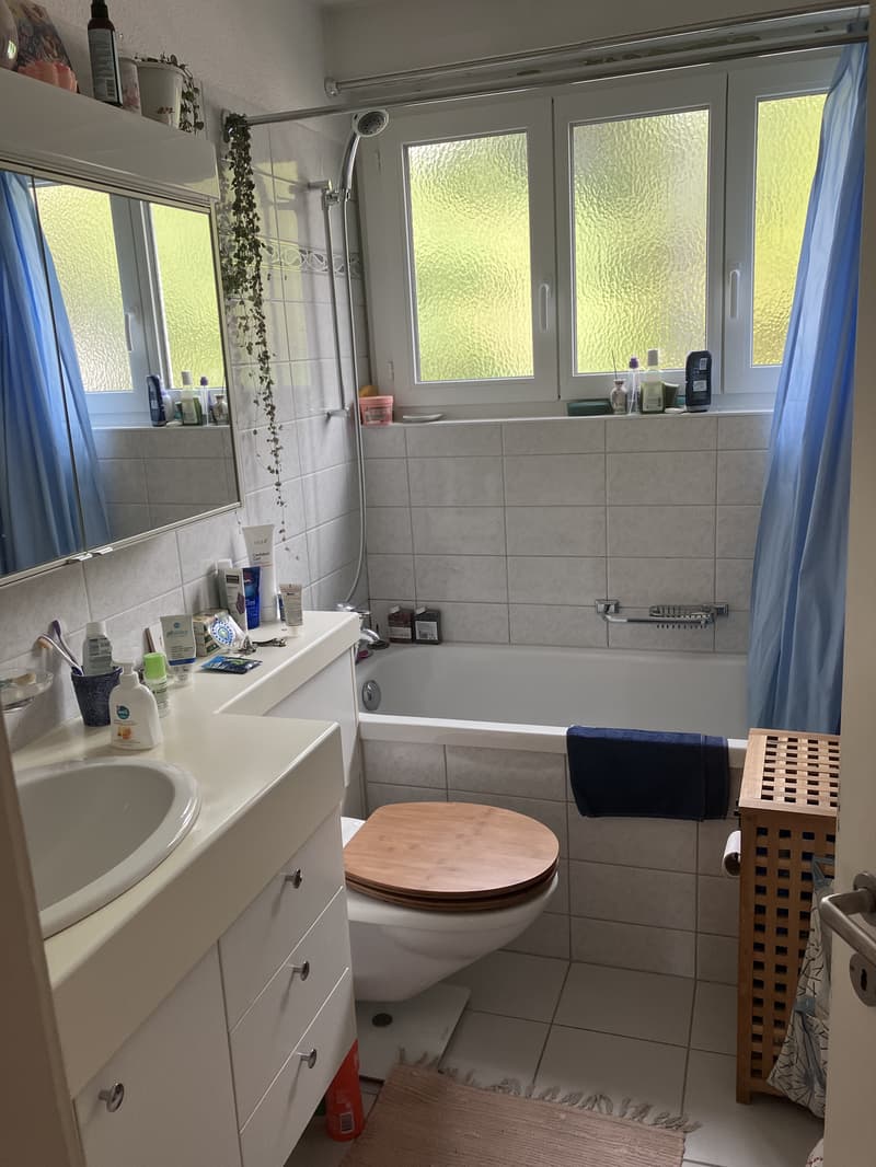 3½ ZI-WOHNUNG IN ZÜRICH - KREIS 10 HÖNGG, MÖBLIERT, TEMPORÄR (5)