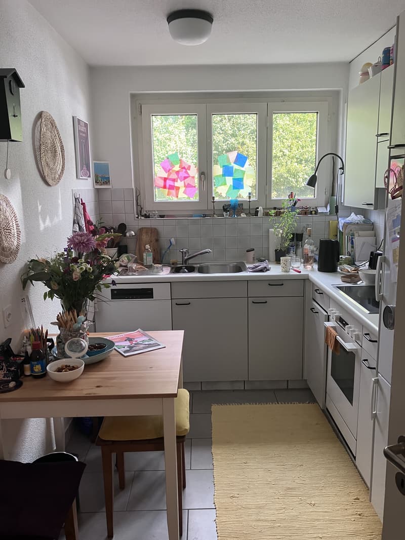 3½ ZI-WOHNUNG IN ZÜRICH - KREIS 10 HÖNGG, MÖBLIERT, TEMPORÄR (3)