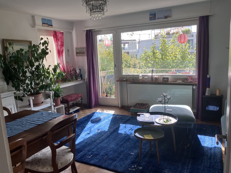 3½ ZI-WOHNUNG IN ZÜRICH - KREIS 10 HÖNGG, MÖBLIERT, TEMPORÄR (2)