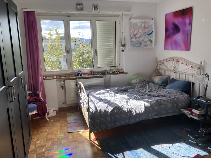 3½ ZI-WOHNUNG IN ZÜRICH - KREIS 10 HÖNGG, MÖBLIERT, TEMPORÄR (4)