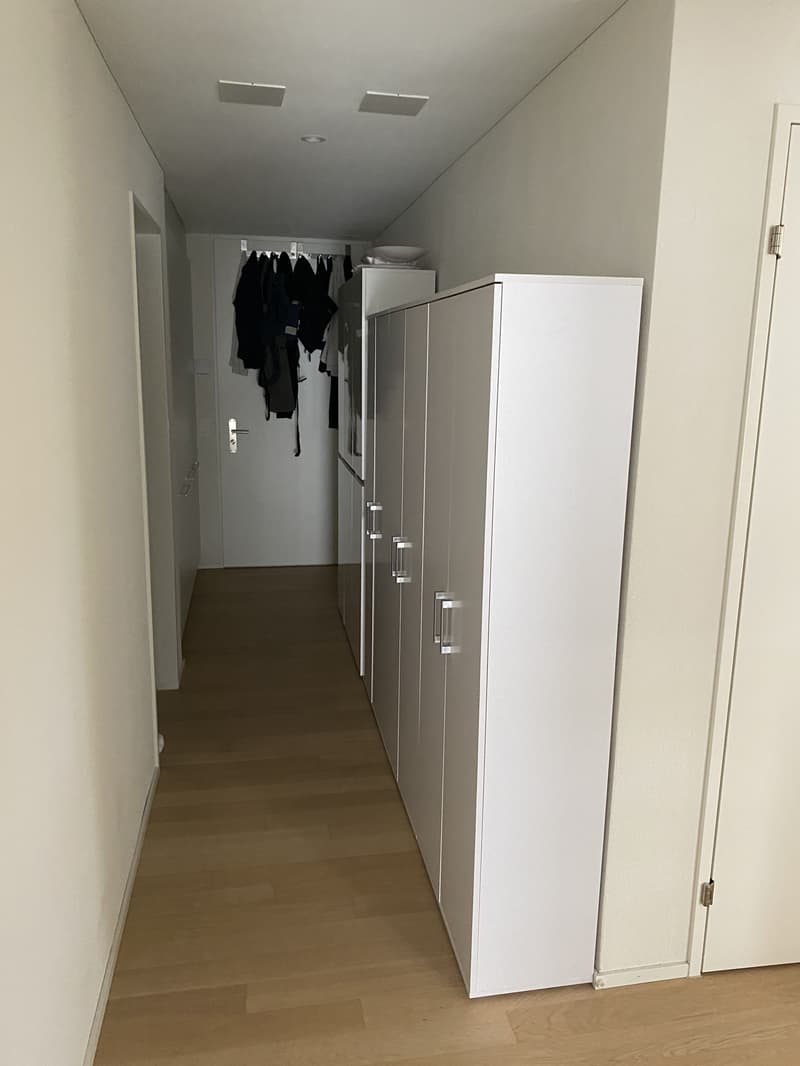 3½ ZI-WOHNUNG IN ZÜRICH - KREIS 6 MILCHBUCK, MÖBLIERT, TEMPORÄR (8)
