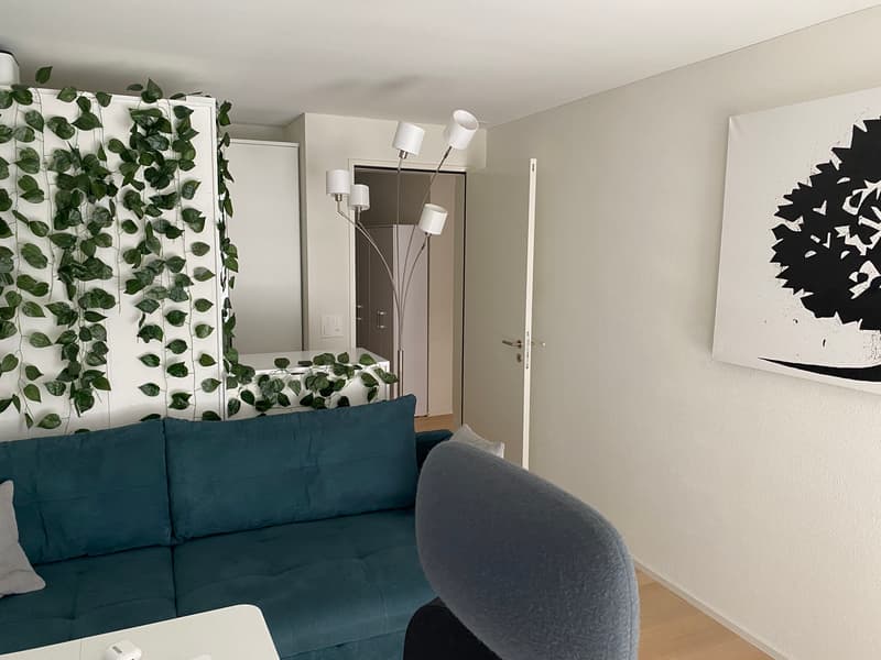 3½ ZI-WOHNUNG IN ZÜRICH - KREIS 6 MILCHBUCK, MÖBLIERT, TEMPORÄR (3)