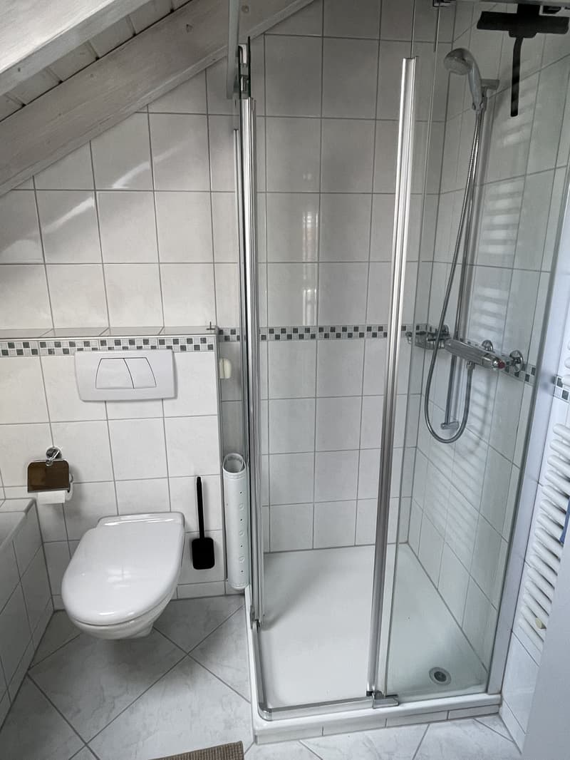 3½ ZIMMER-HAUS IN WATT (ZH), MÖBLIERT, TEMPORÄR (7)
