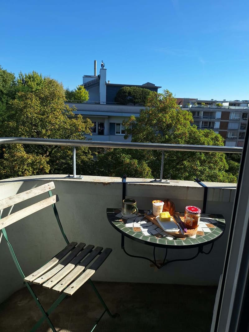 3 ZI-WOHNUNG IN BERN - BREITENRAIN, MÖBLIERT, TEMPORÄR (6)