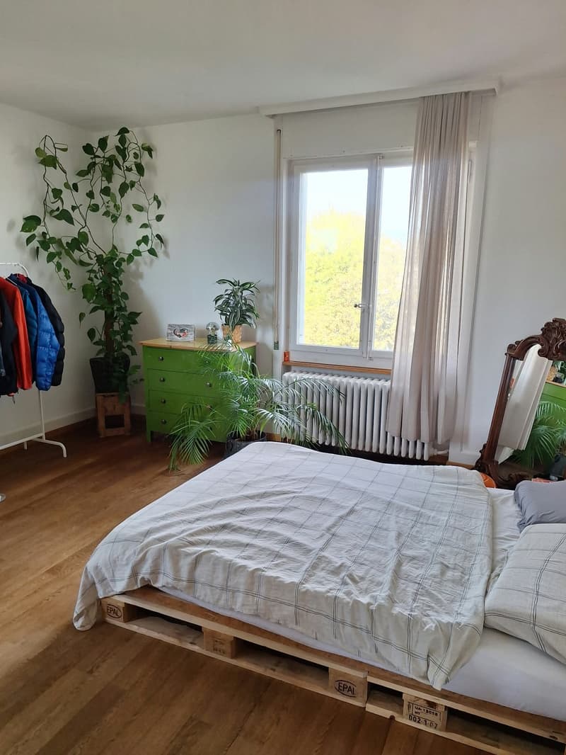 3 ZI-WOHNUNG IN BERN - BREITENRAIN, MÖBLIERT, TEMPORÄR (3)