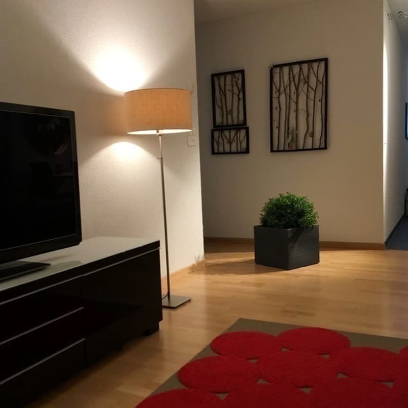 3½ ZI-WOHNUNG IN ST. GALLEN - ST. FIDEN/NEUDORF, MÖBLIERT, TEMPORÄR (3)