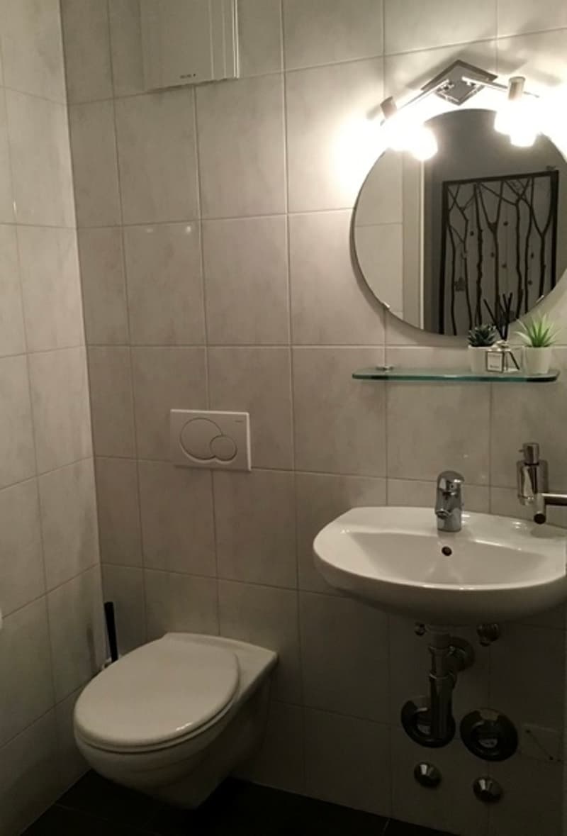 3½ ZI-WOHNUNG IN ST. GALLEN - ST. FIDEN/NEUDORF, MÖBLIERT, TEMPORÄR (8)