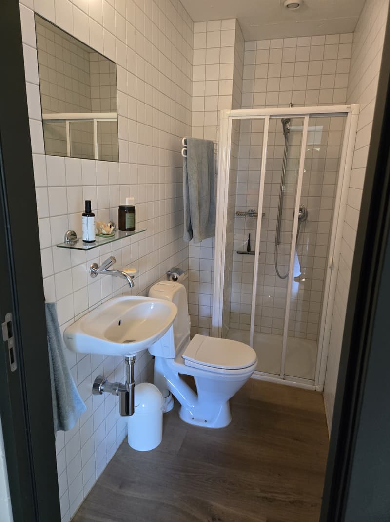 3½ ZI-WOHNUNG IN USTER (ZH), MÖBLIERT, TEMPORÄR (9)