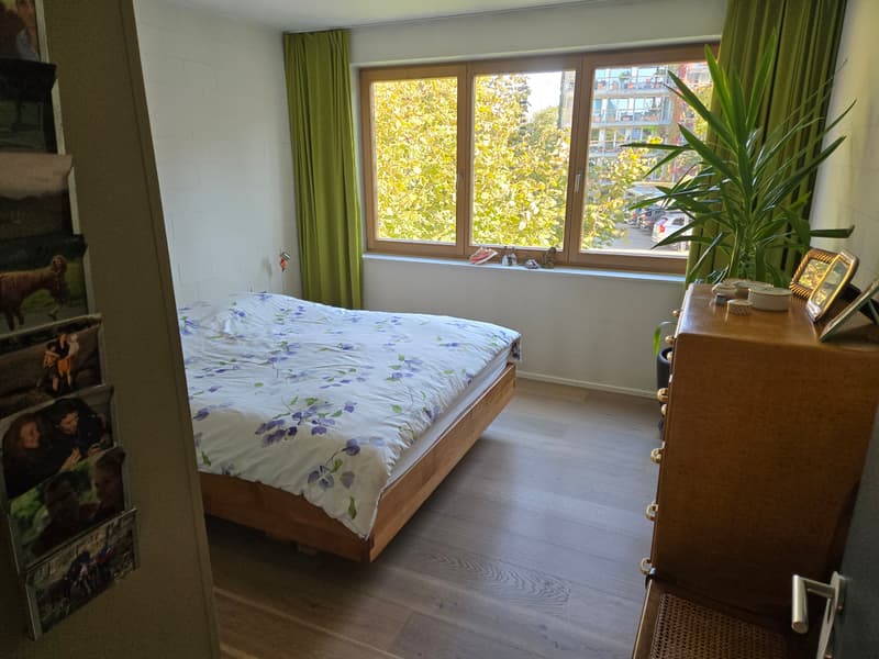 3½ ZI-WOHNUNG IN USTER (ZH), MÖBLIERT, TEMPORÄR (6)