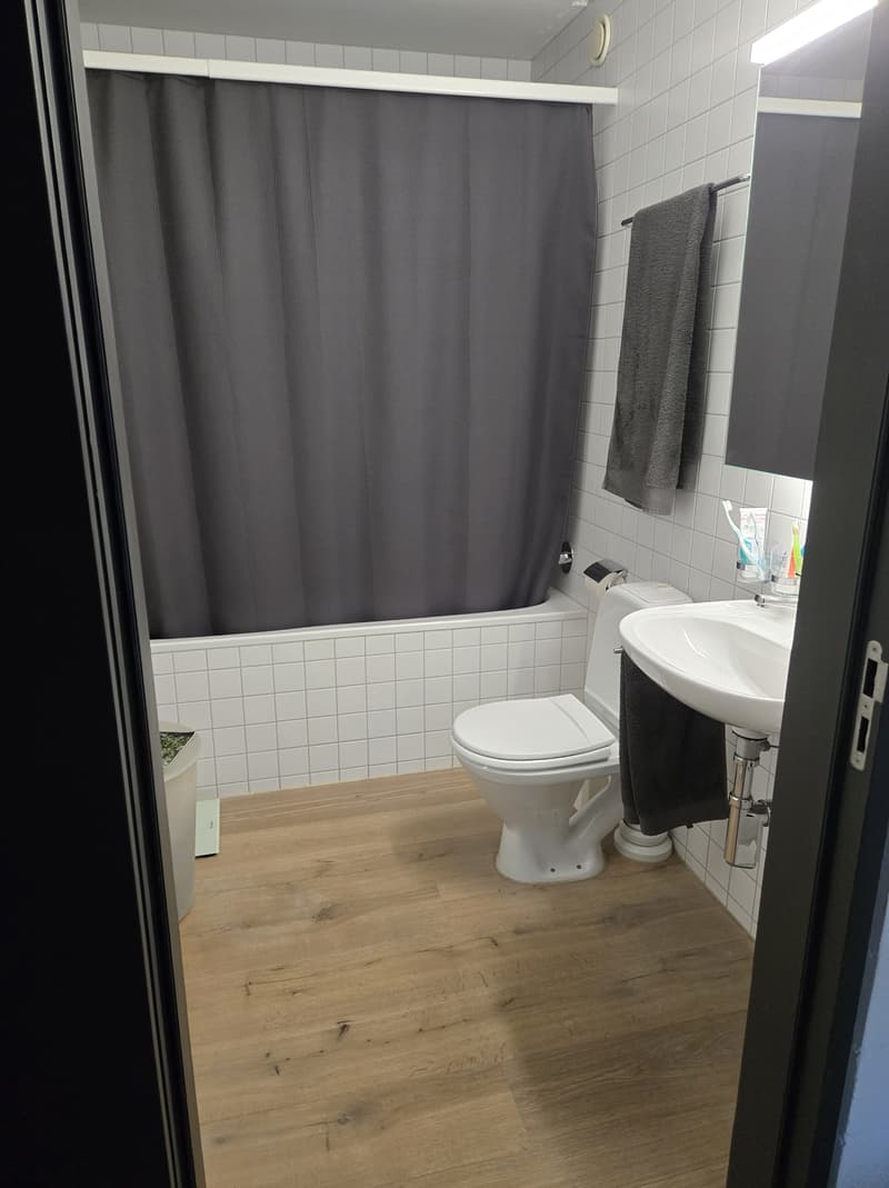 3½ ZI-WOHNUNG IN USTER (ZH), MÖBLIERT, TEMPORÄR (8)